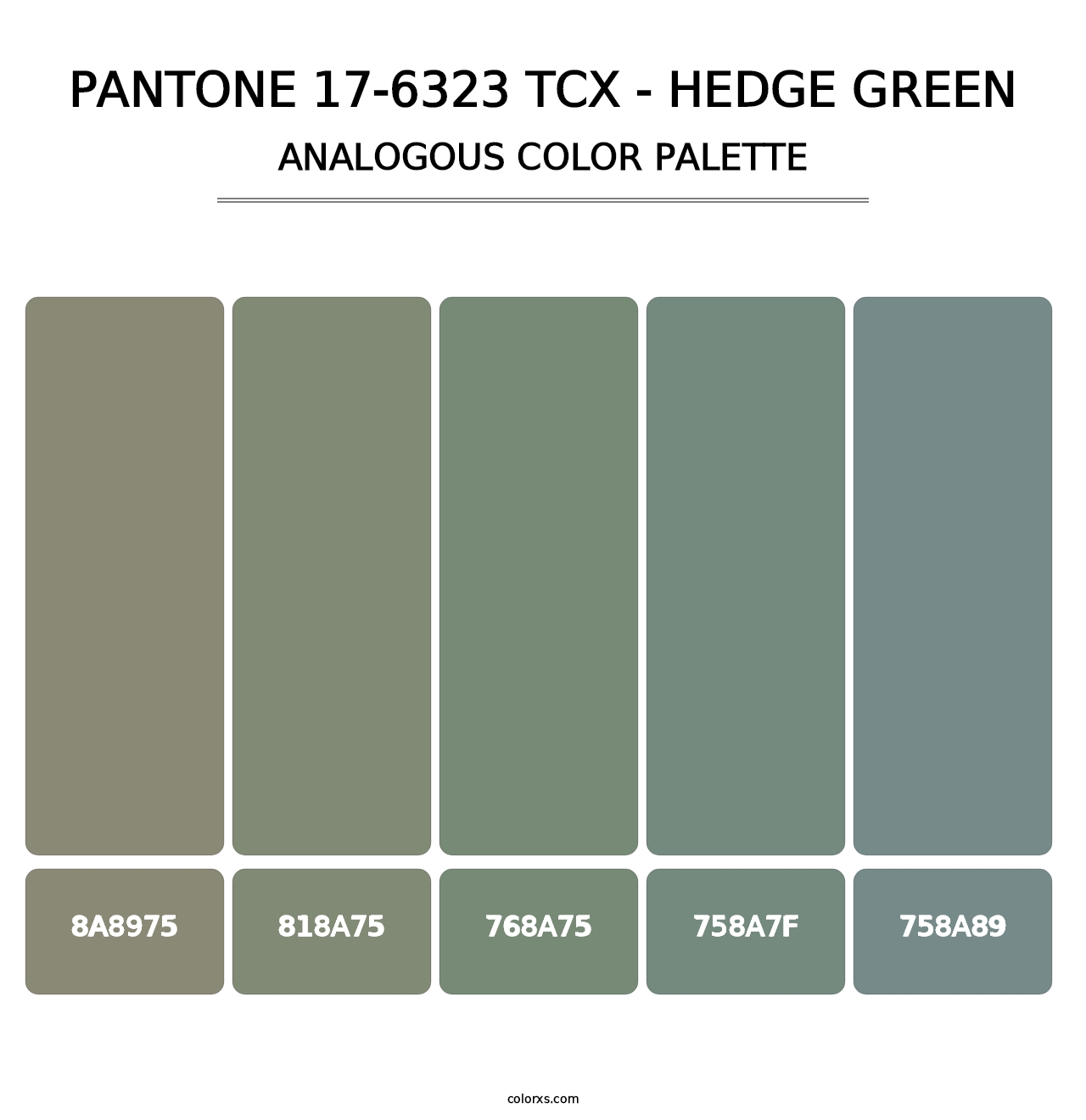 PANTONE 17-6323 TCX - Hedge Green - Analogous Color Palette
