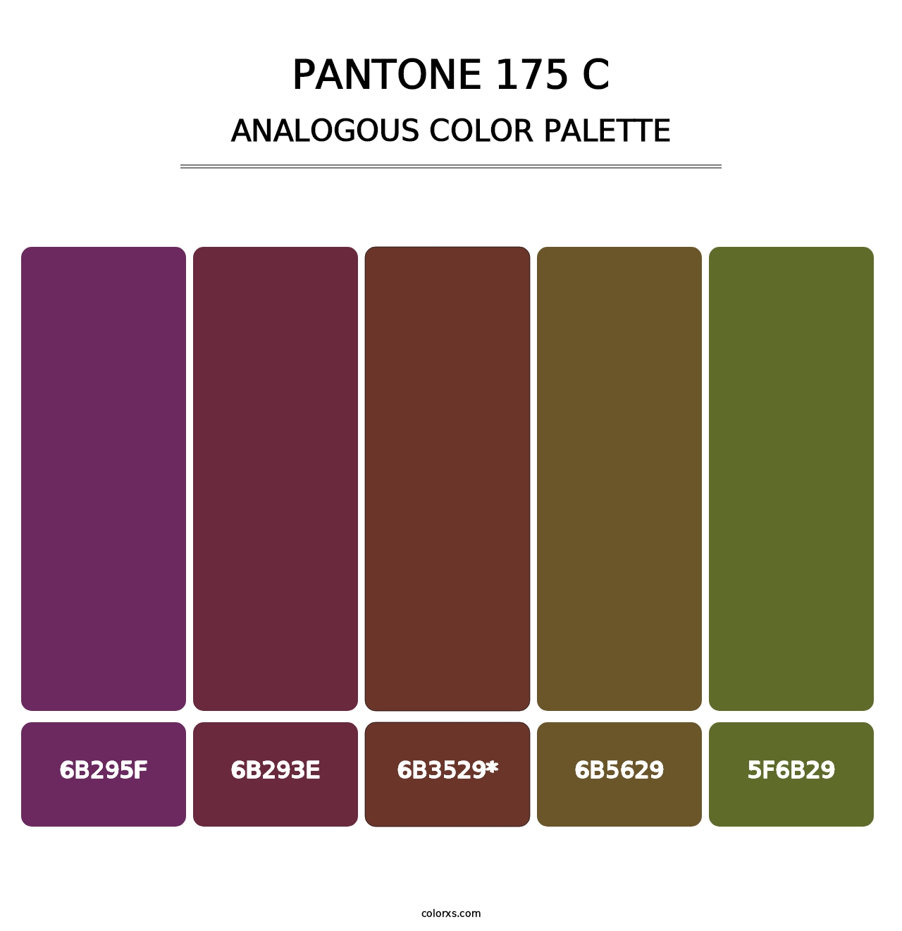 PANTONE 175 C - Analogous Color Palette