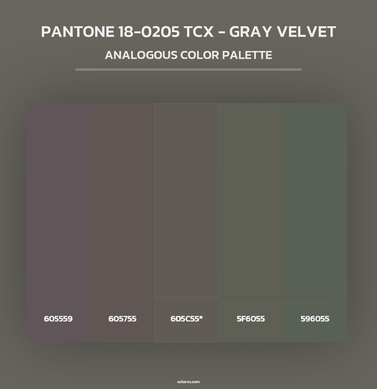 PANTONE 18-0205 TCX - Gray Velvet - Analogous Color Palette