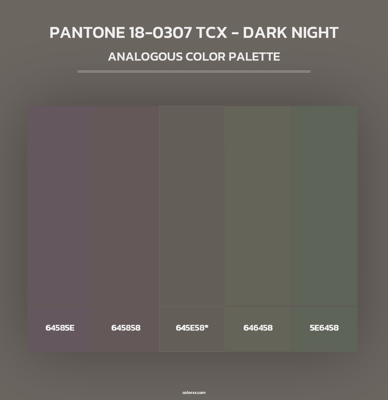 PANTONE 18-0307 TCX - Dark Night - Analogous Color Palette