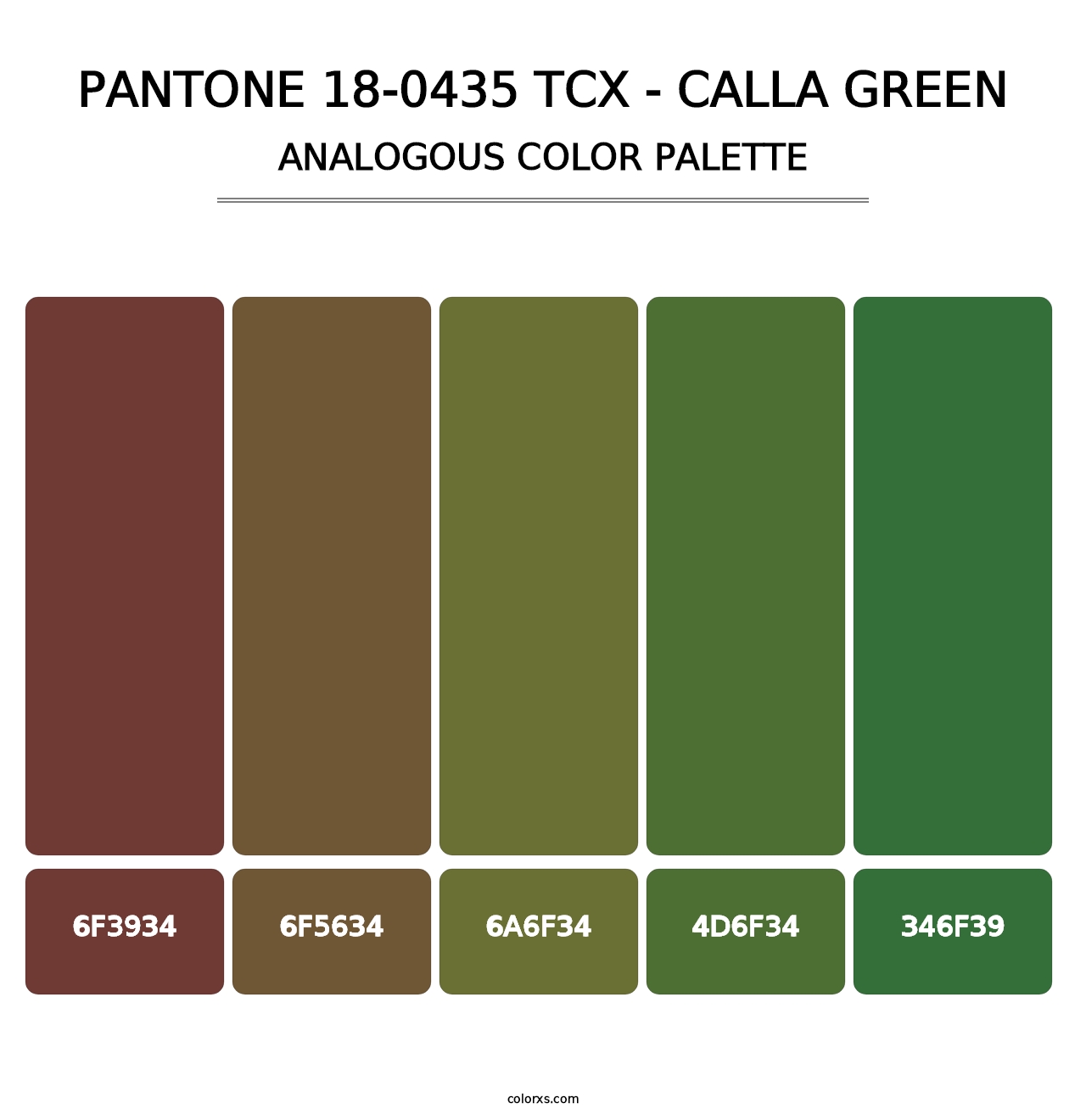 PANTONE 18-0435 TCX - Calla Green - Analogous Color Palette