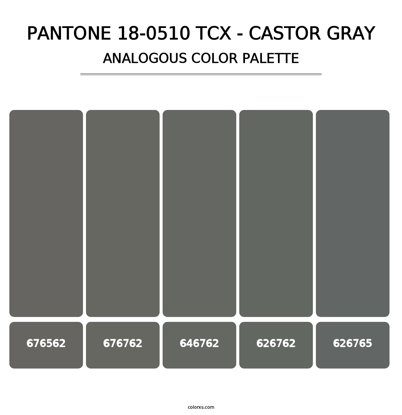 PANTONE 18-0510 TCX - Castor Gray - Analogous Color Palette