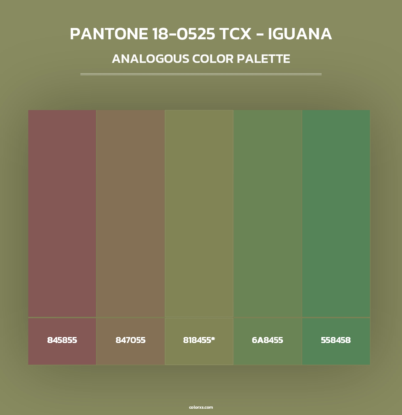 PANTONE 18-0525 TCX - Iguana - Analogous Color Palette