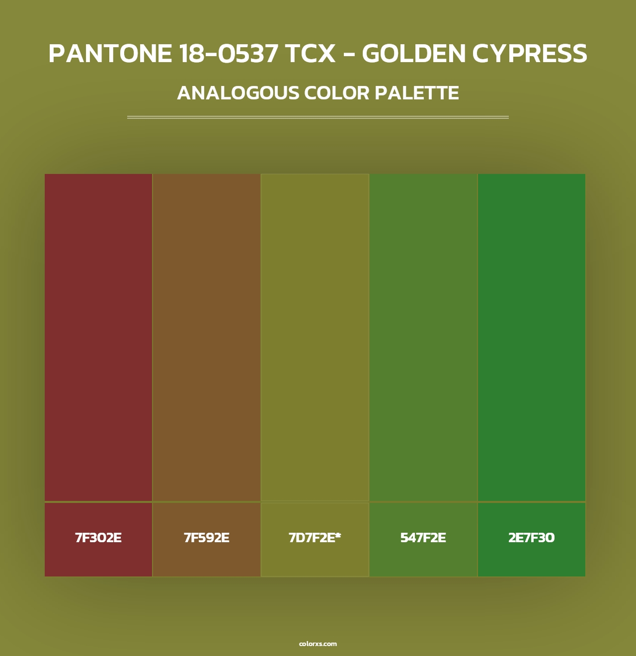 PANTONE 18-0537 TCX - Golden Cypress - Analogous Color Palette