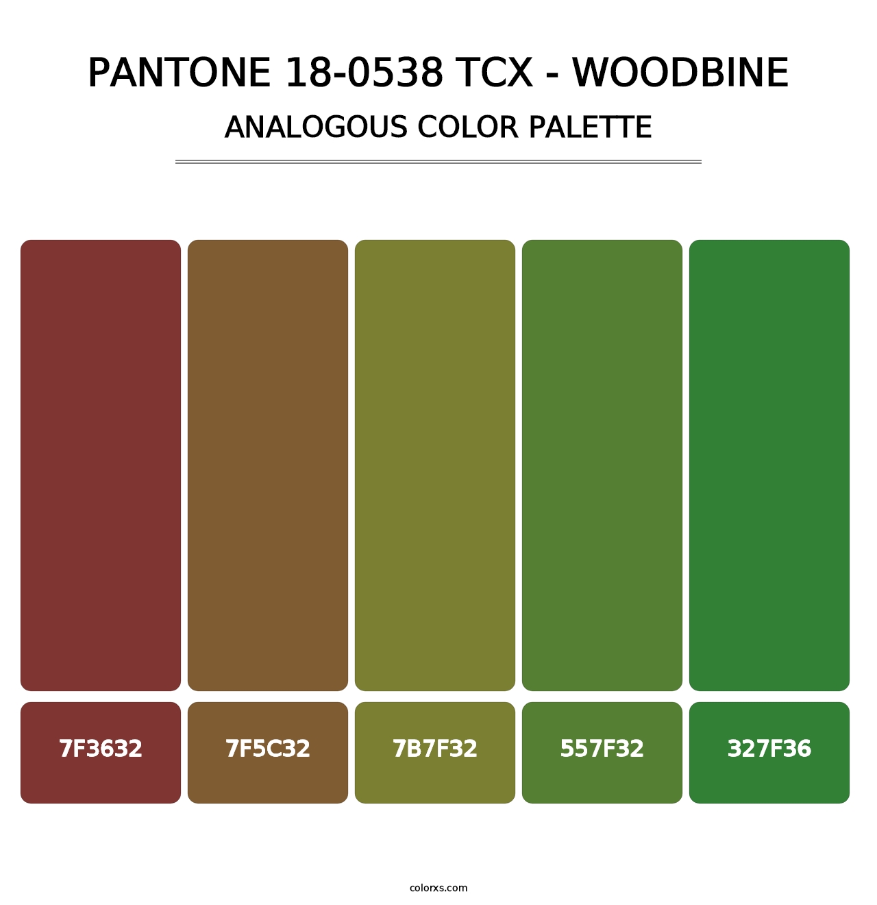 PANTONE 18-0538 TCX - Woodbine - Analogous Color Palette