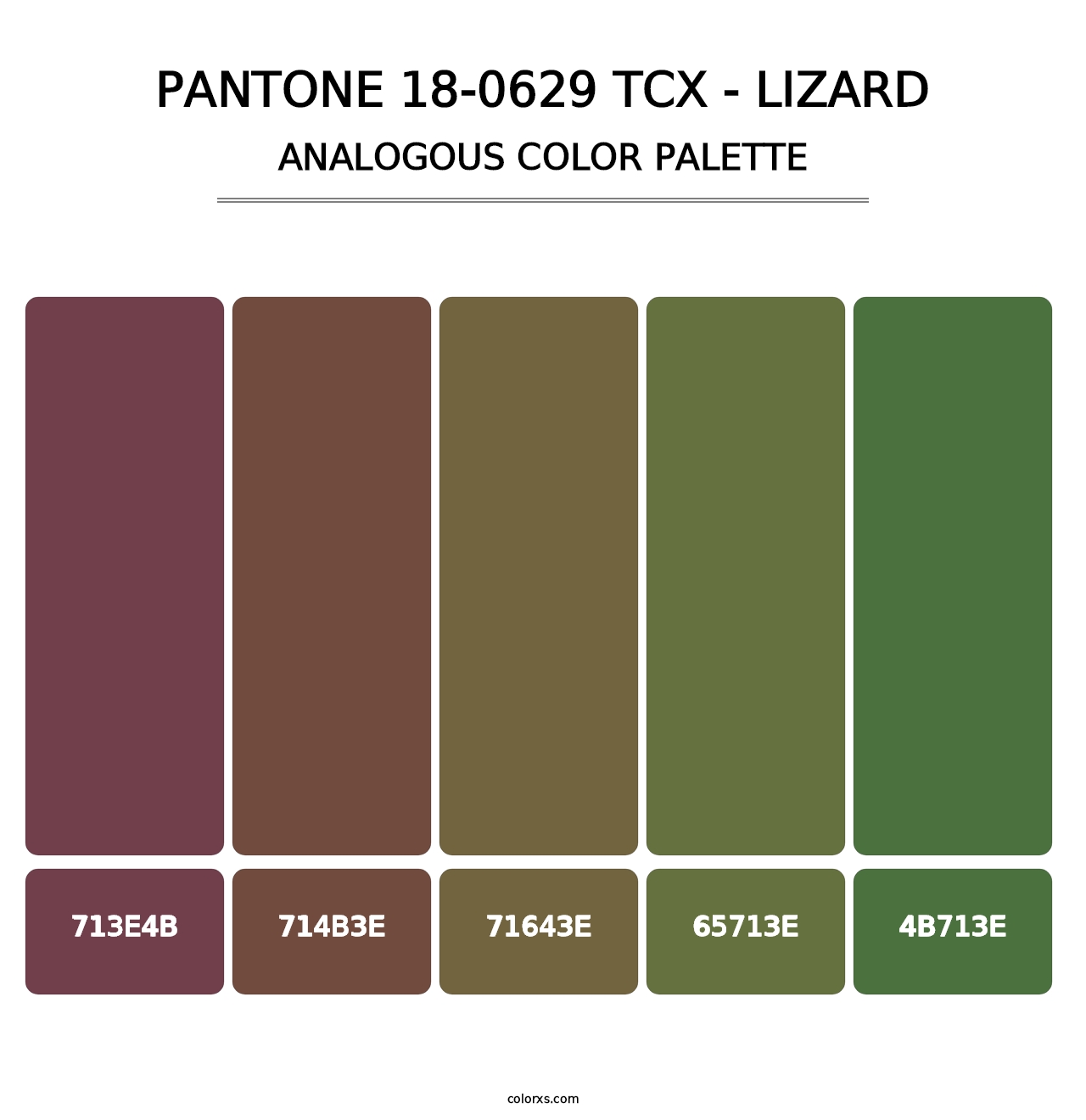 PANTONE 18-0629 TCX - Lizard - Analogous Color Palette