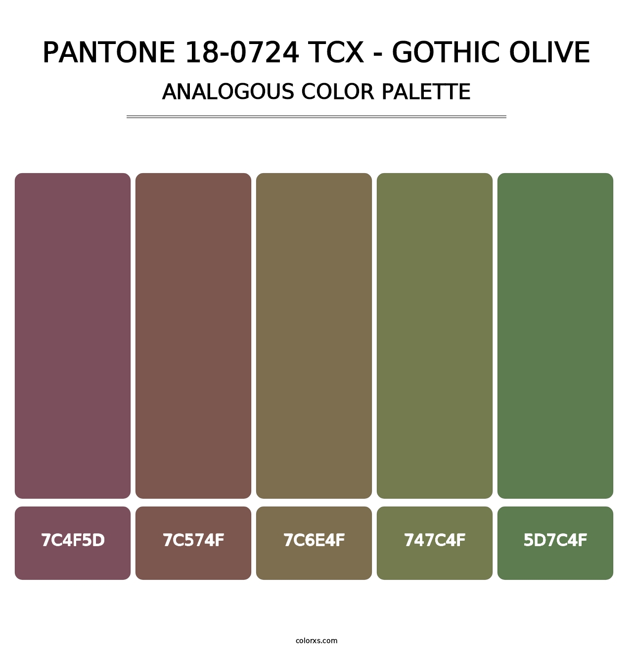 PANTONE 18-0724 TCX - Gothic Olive - Analogous Color Palette