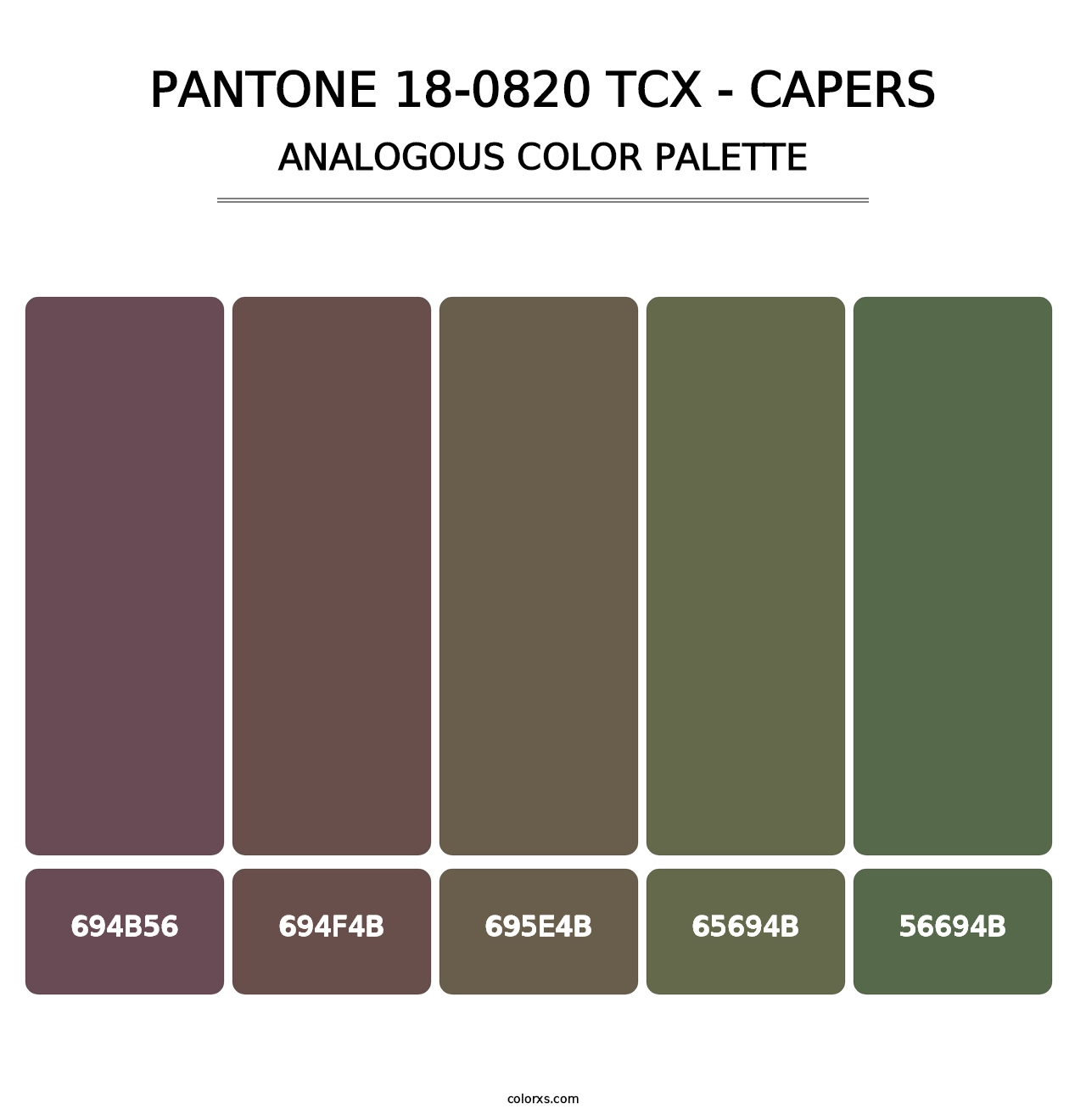 PANTONE 18-0820 TCX - Capers - Analogous Color Palette