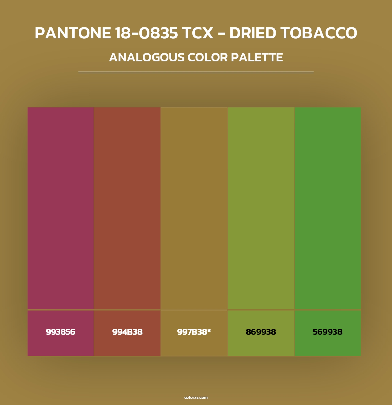 PANTONE 18-0835 TCX - Dried Tobacco - Analogous Color Palette