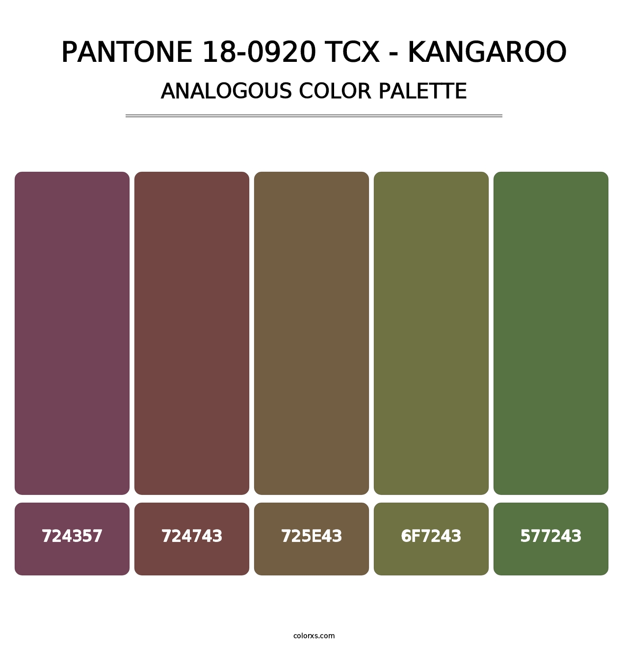 PANTONE 18-0920 TCX - Kangaroo - Analogous Color Palette