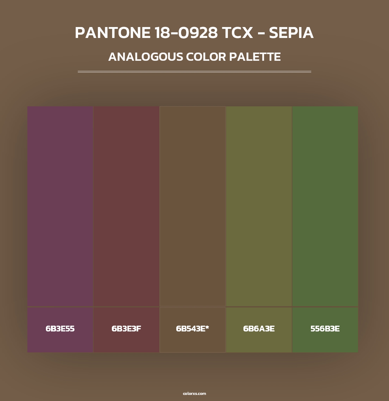 PANTONE 18-0928 TCX - Sepia - Analogous Color Palette