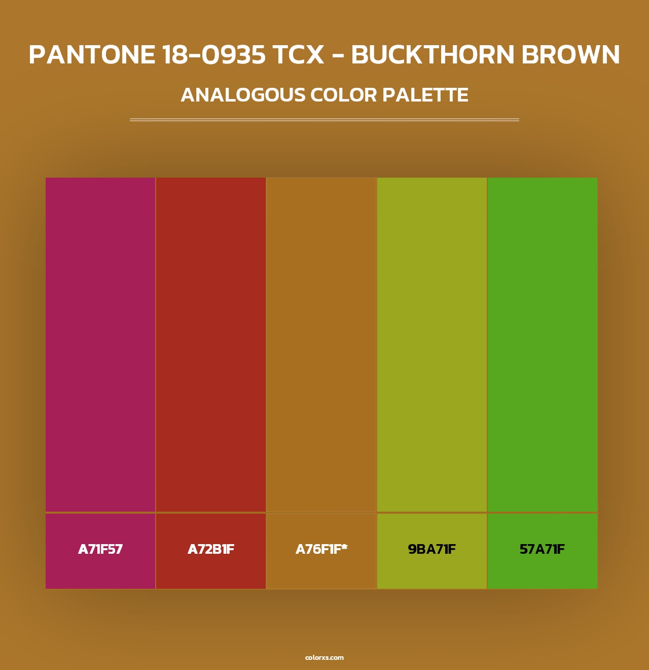 PANTONE 18-0935 TCX - Buckthorn Brown - Analogous Color Palette