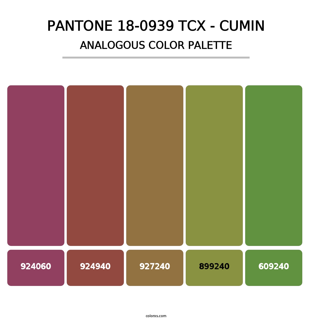 PANTONE 18-0939 TCX - Cumin - Analogous Color Palette