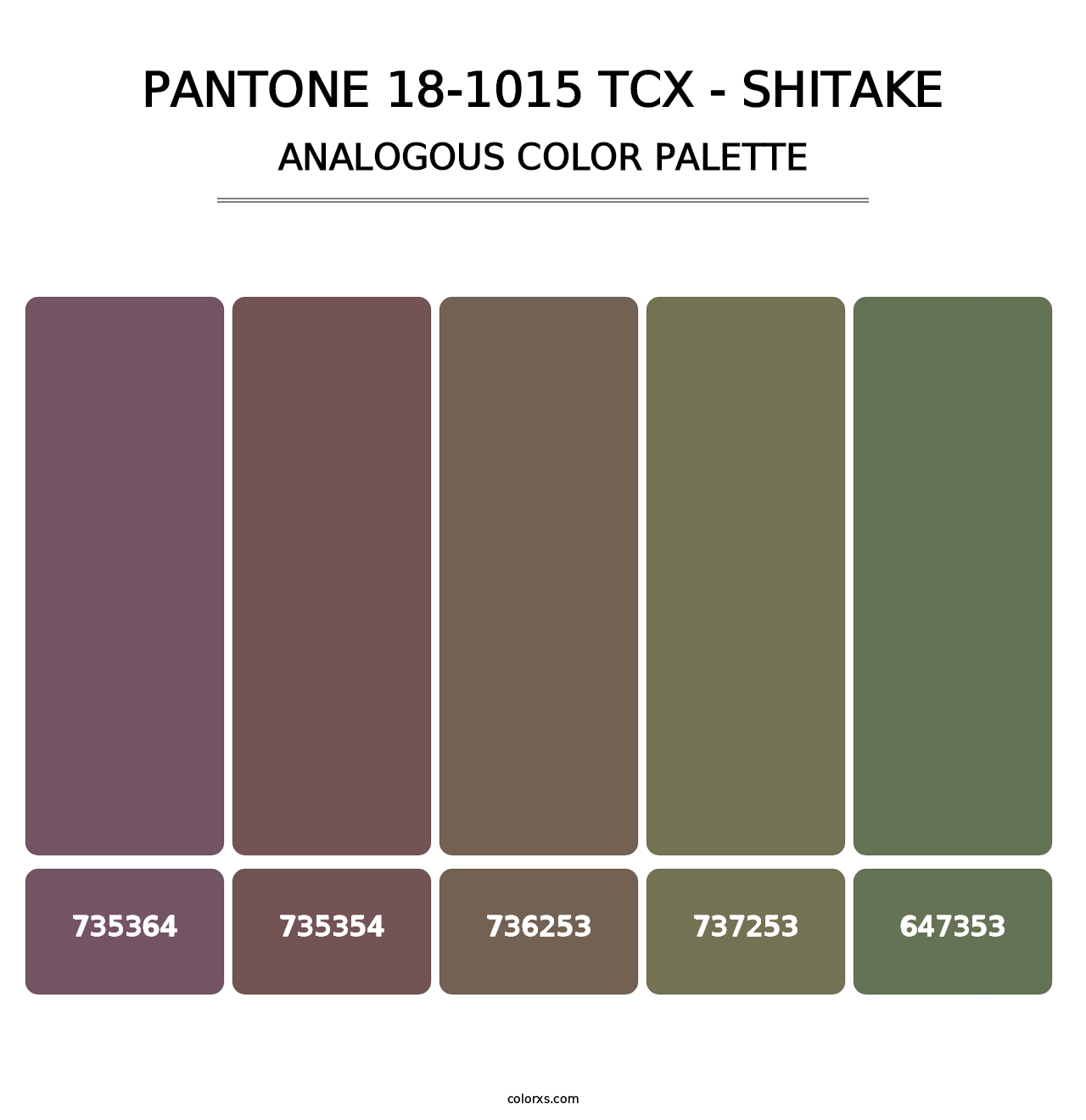 PANTONE 18-1015 TCX - Shitake - Analogous Color Palette
