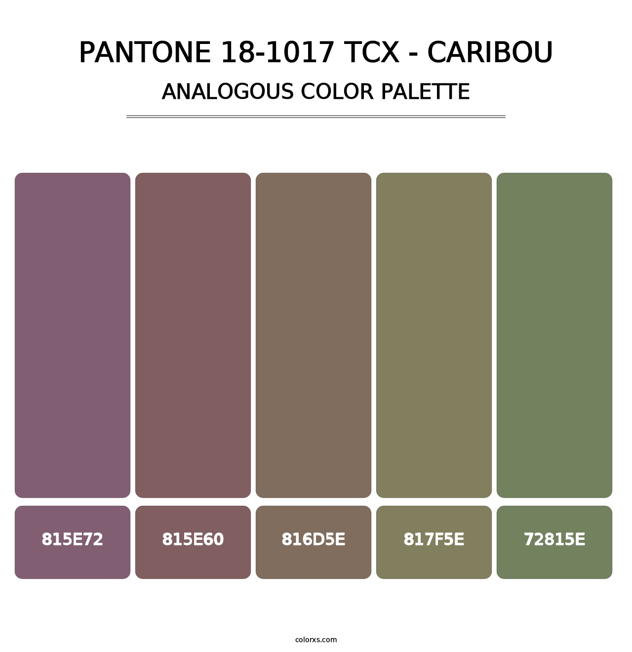 PANTONE 18-1017 TCX - Caribou - Analogous Color Palette