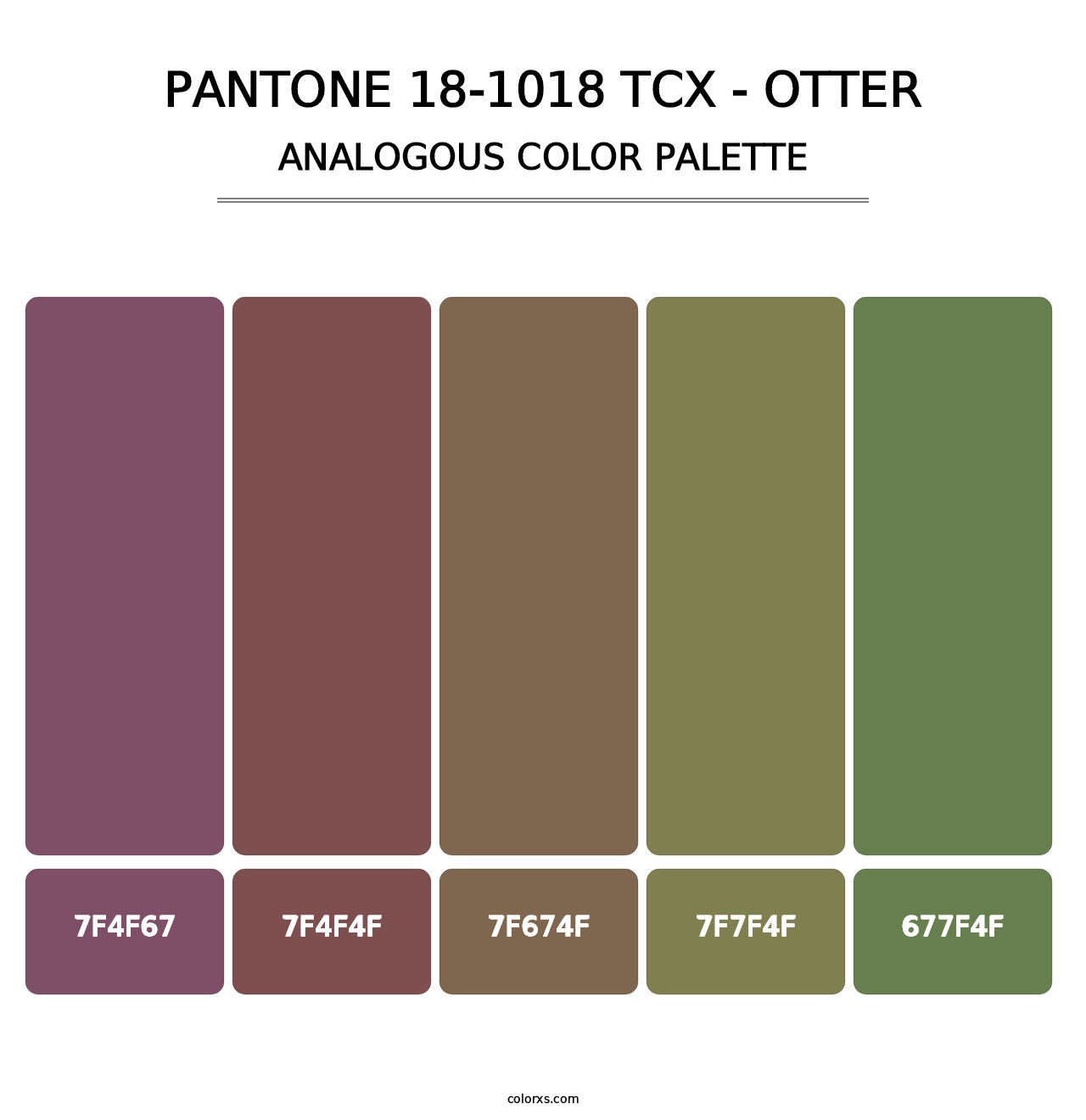 PANTONE 18-1018 TCX - Otter - Analogous Color Palette