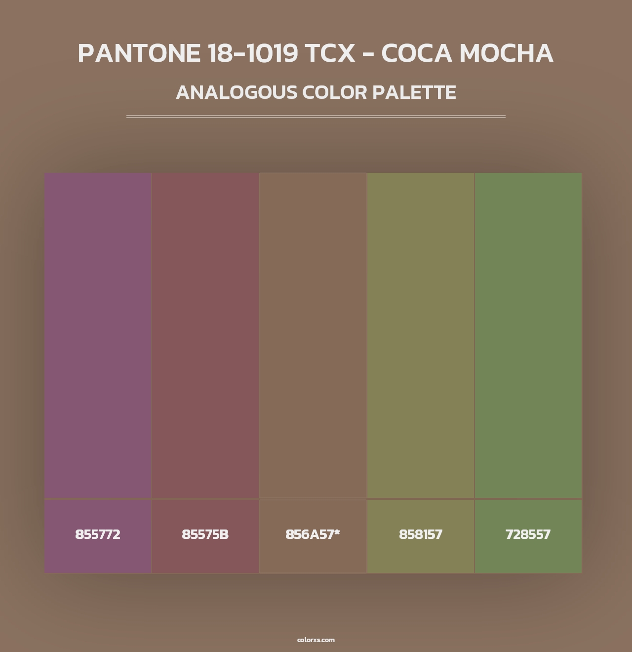 PANTONE 18-1019 TCX - Coca Mocha - Analogous Color Palette