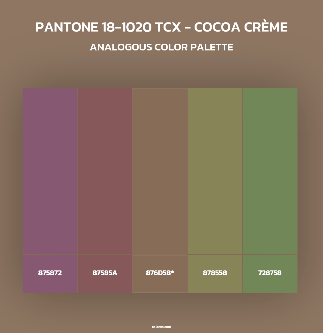 PANTONE 18-1020 TCX - Cocoa Crème - Analogous Color Palette