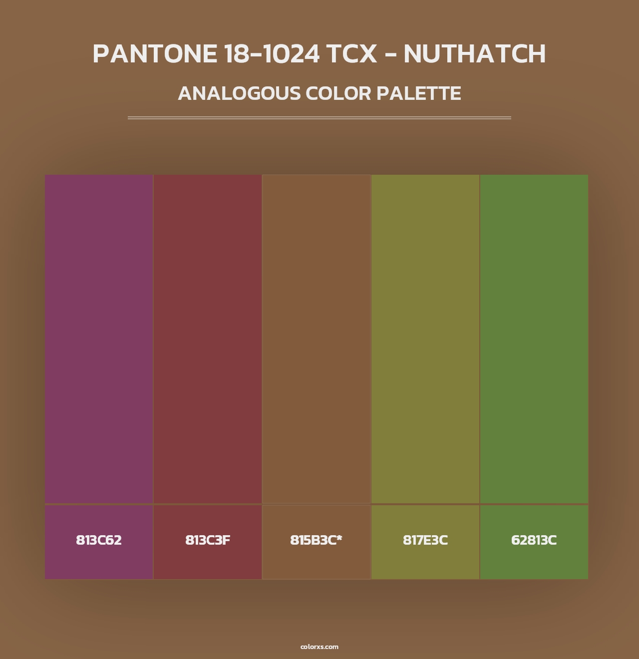 PANTONE 18-1024 TCX - Nuthatch - Analogous Color Palette