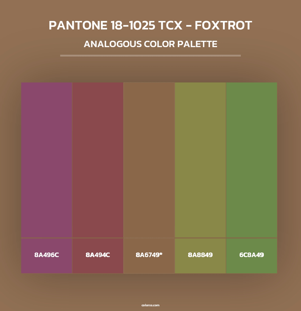 PANTONE 18-1025 TCX - Foxtrot - Analogous Color Palette