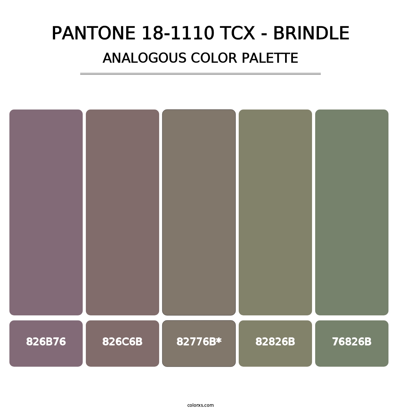 PANTONE 18-1110 TCX - Brindle - Analogous Color Palette