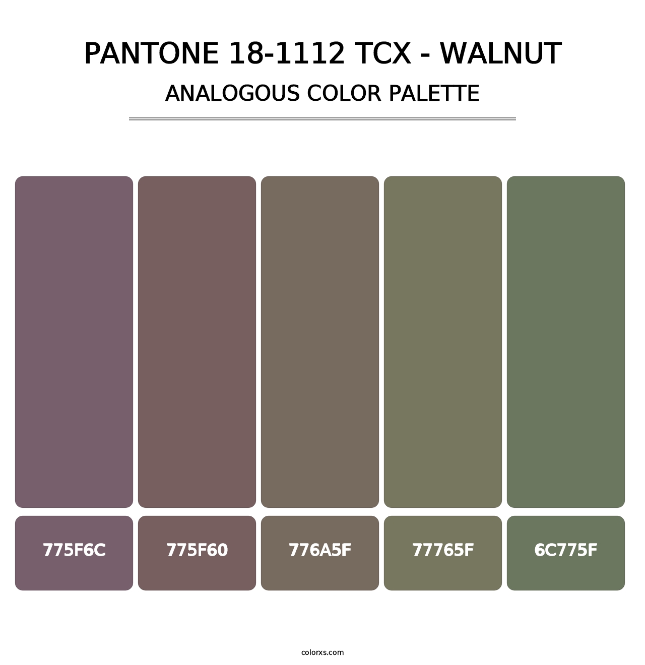 PANTONE 18-1112 TCX - Walnut - Analogous Color Palette