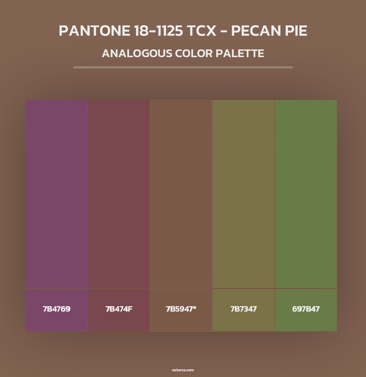 PANTONE 18-1125 TCX - Pecan Pie - Analogous Color Palette