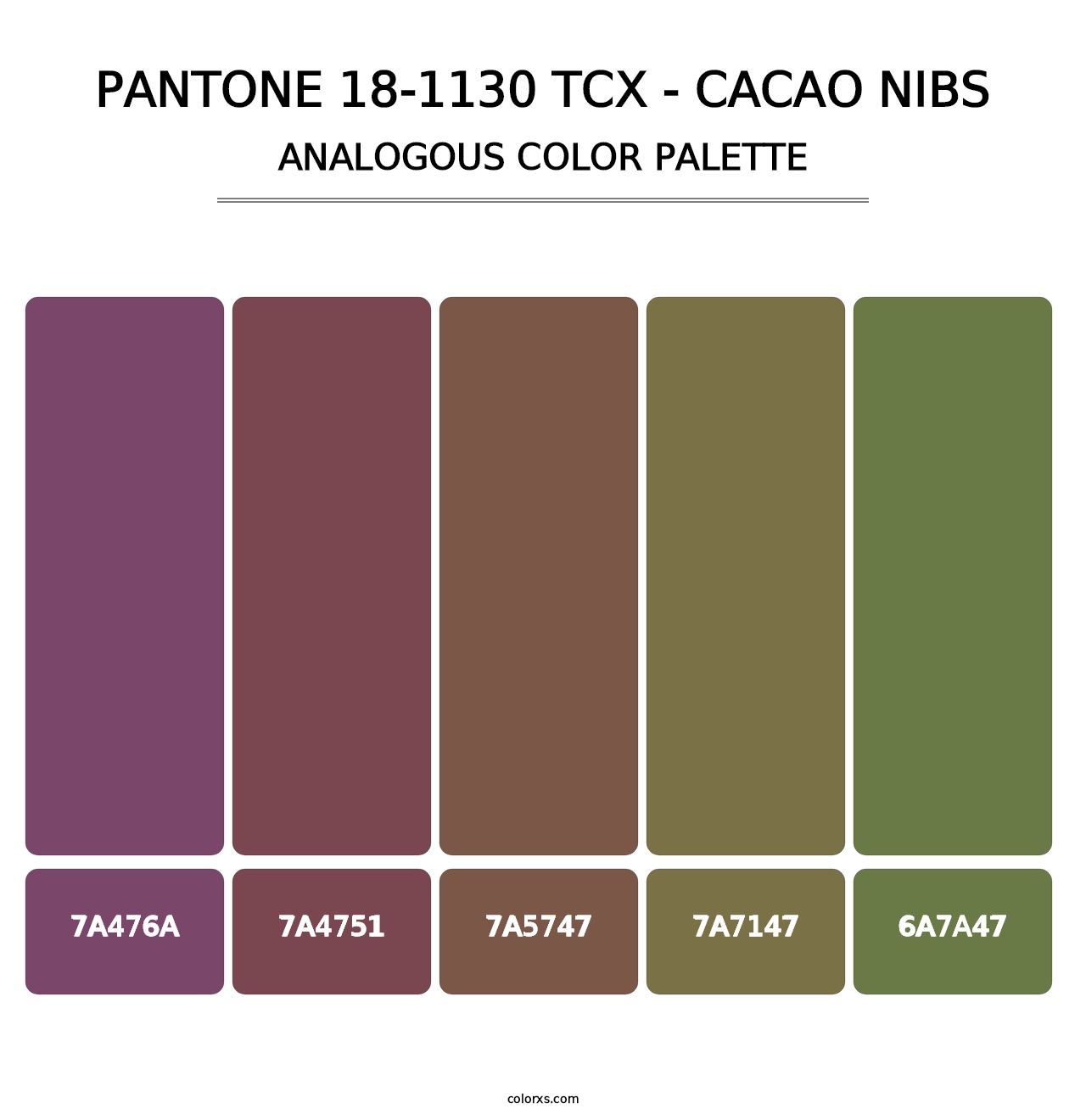 PANTONE 18-1130 TCX - Cacao Nibs - Analogous Color Palette