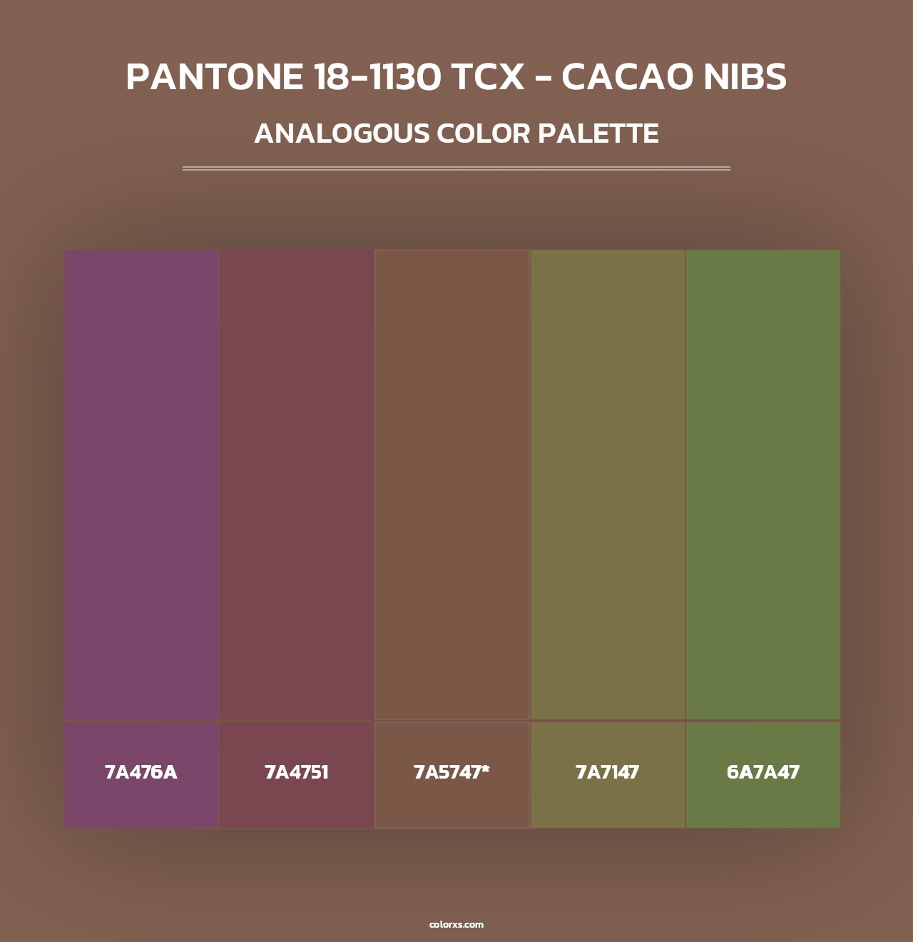 PANTONE 18-1130 TCX - Cacao Nibs - Analogous Color Palette