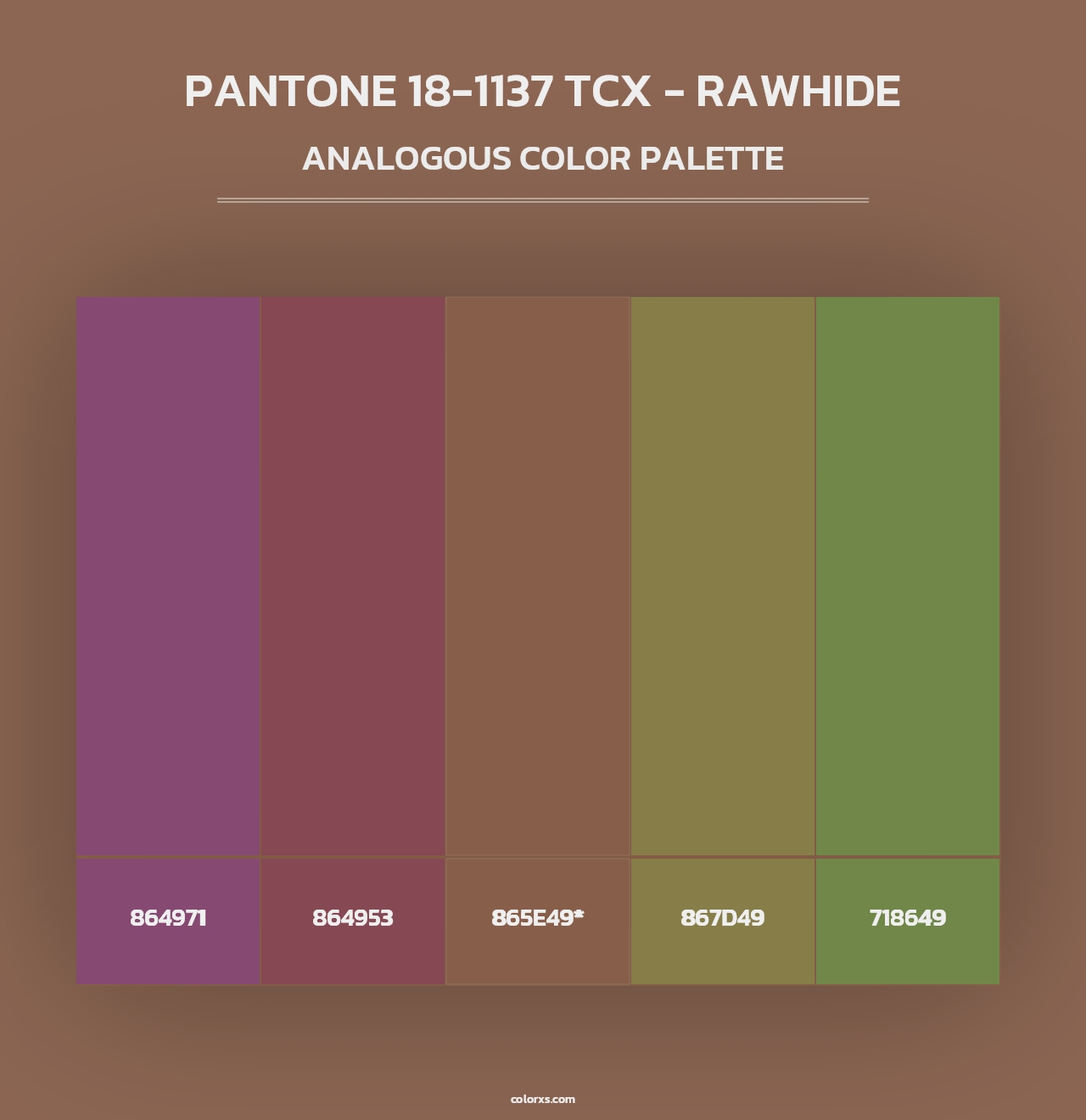 PANTONE 18-1137 TCX - Rawhide - Analogous Color Palette