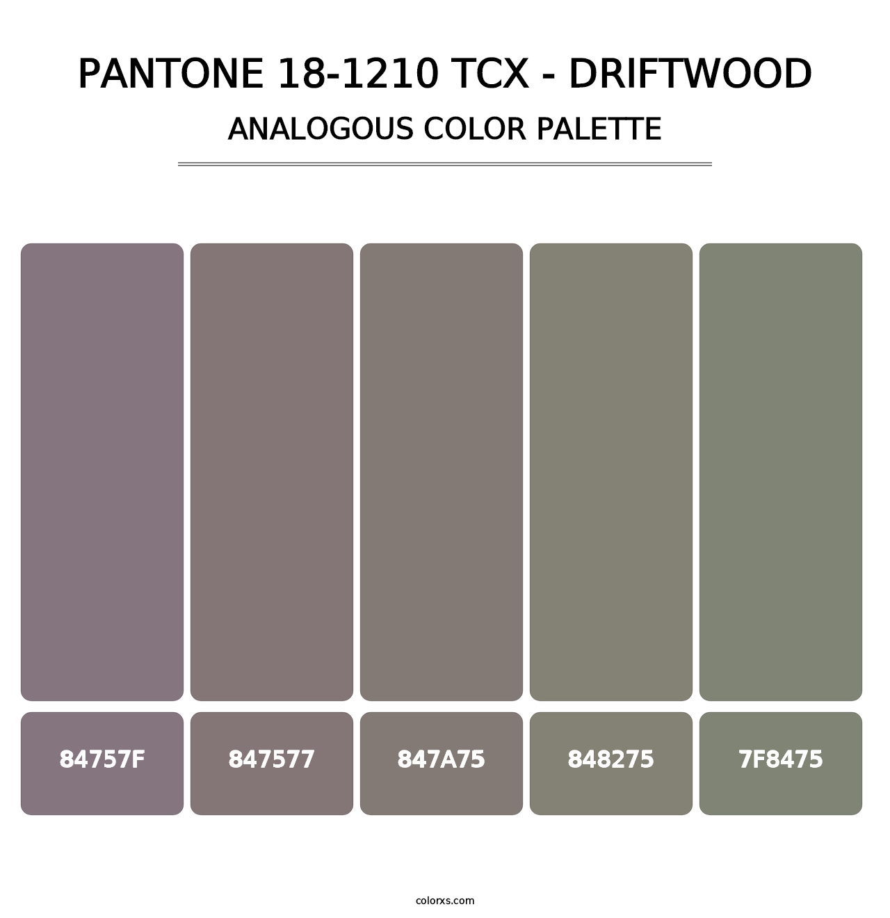 PANTONE 18-1210 TCX - Driftwood - Analogous Color Palette