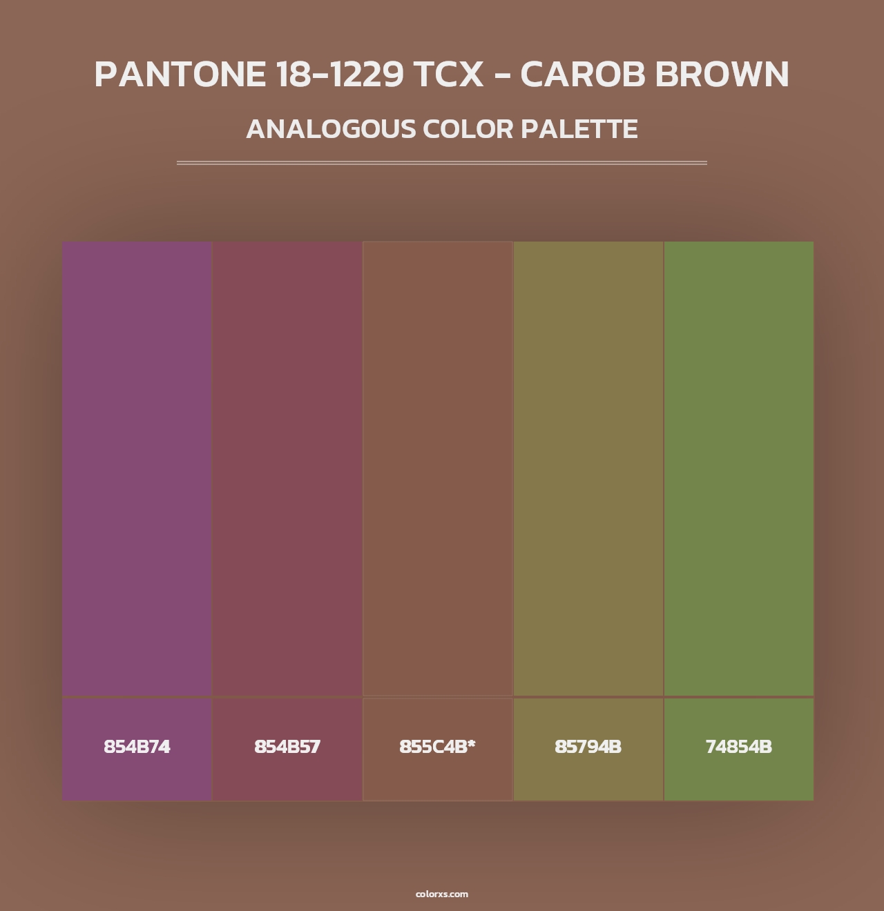 PANTONE 18-1229 TCX - Carob Brown - Analogous Color Palette