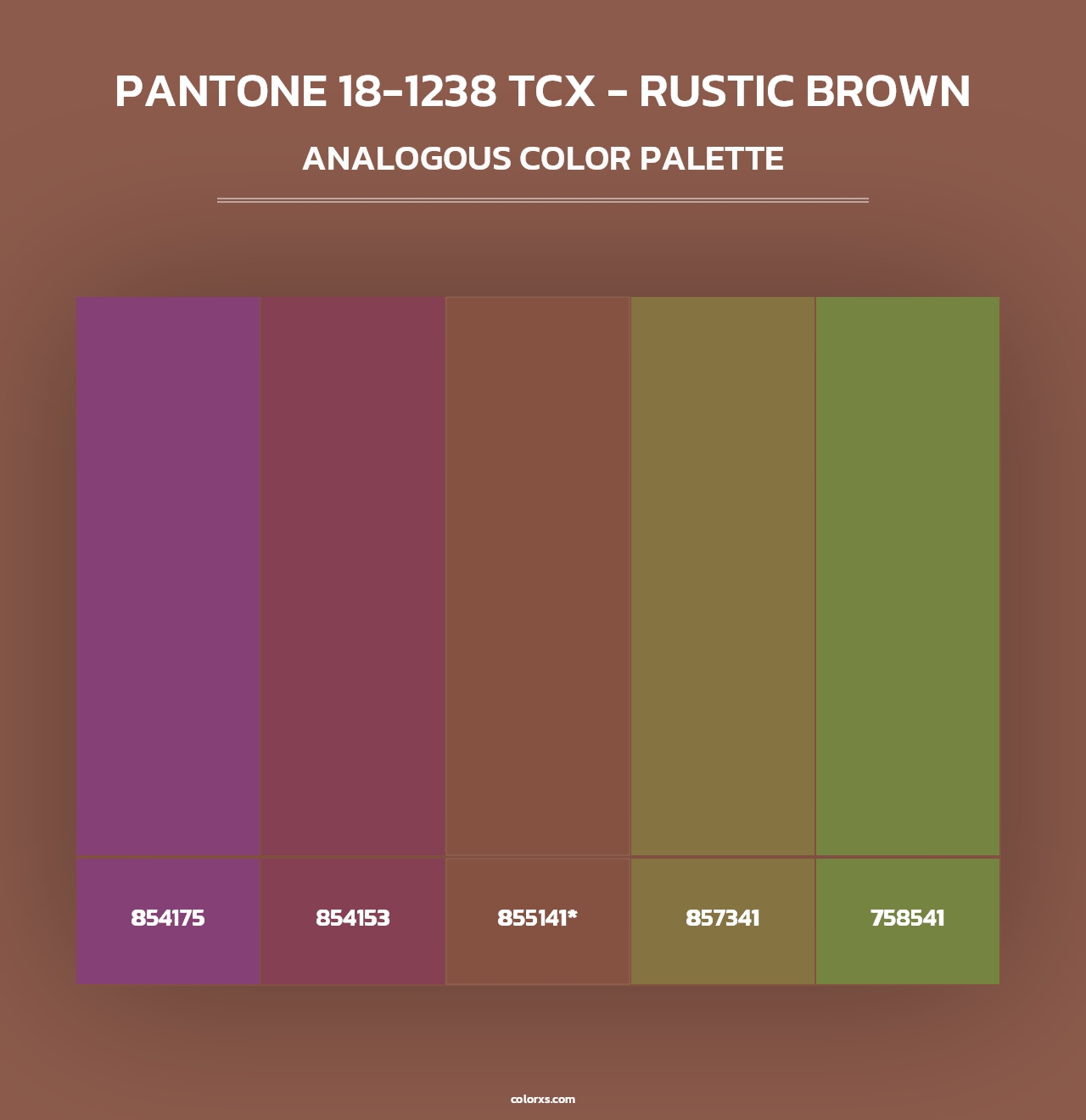 PANTONE 18-1238 TCX - Rustic Brown - Analogous Color Palette