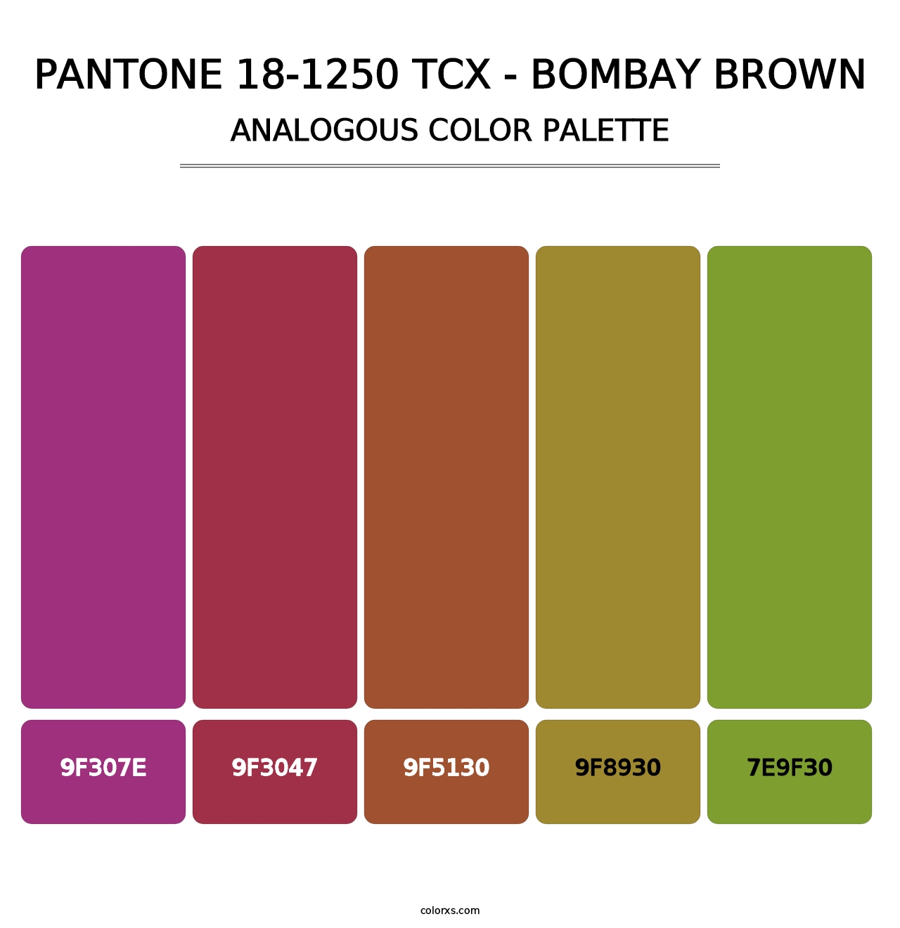 PANTONE 18-1250 TCX - Bombay Brown - Analogous Color Palette
