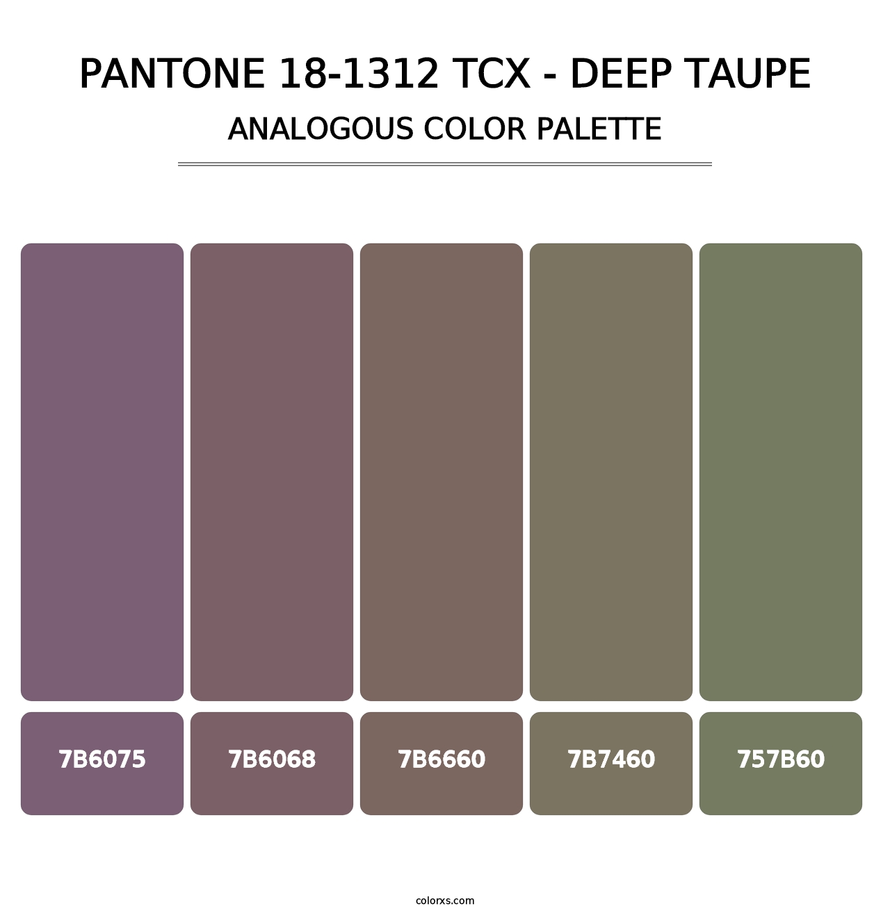 PANTONE 18-1312 TCX - Deep Taupe - Analogous Color Palette