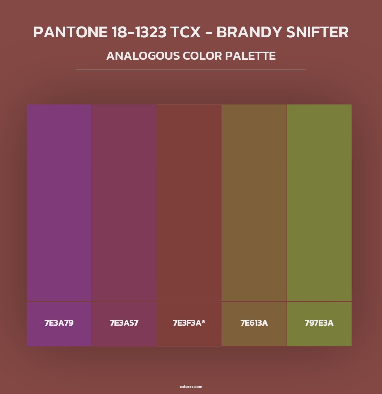 PANTONE 18-1323 TCX - Brandy Snifter - Analogous Color Palette