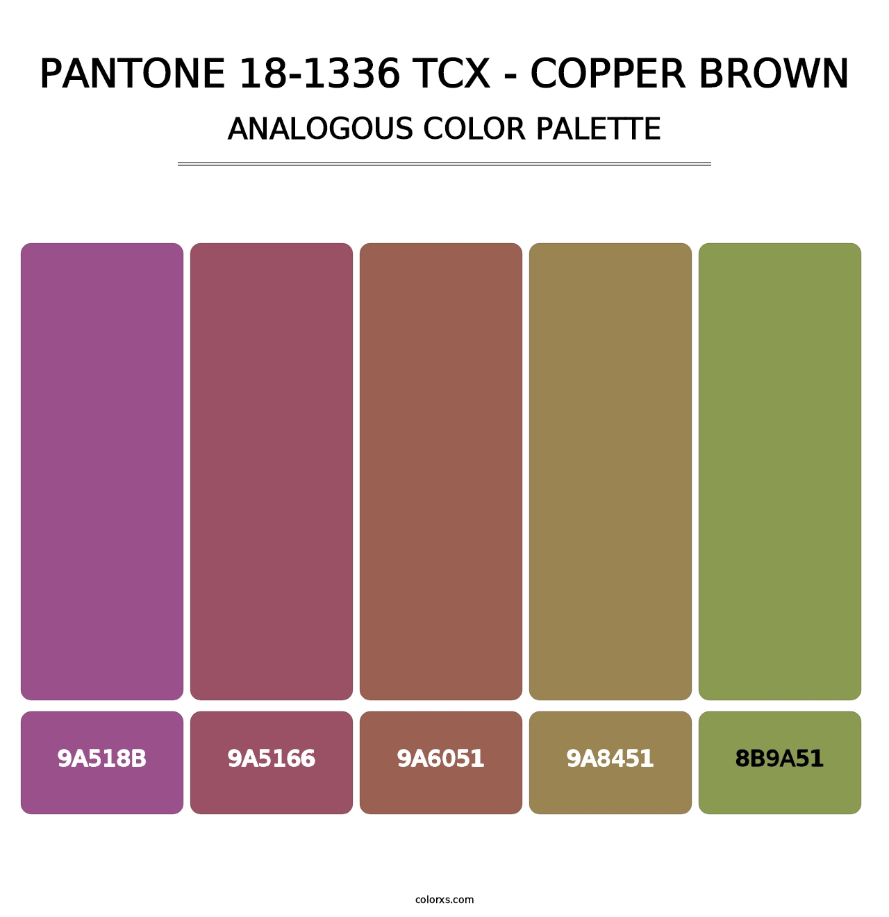 PANTONE 18-1336 TCX - Copper Brown - Analogous Color Palette