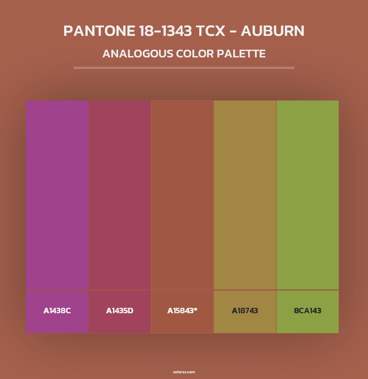 PANTONE 18-1343 TCX - Auburn - Analogous Color Palette
