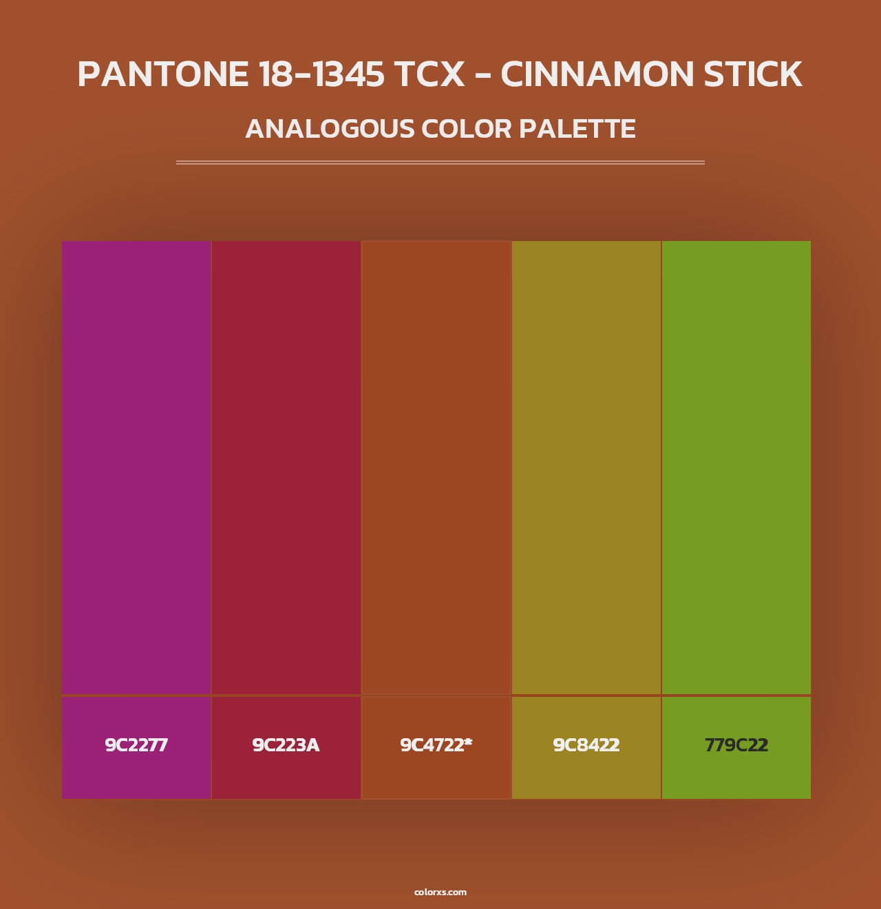 PANTONE 18-1345 TCX - Cinnamon Stick - Analogous Color Palette