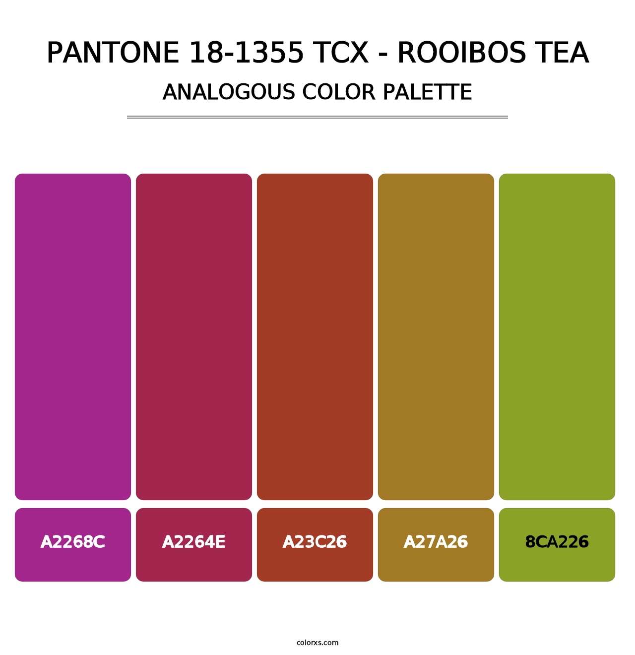 PANTONE 18-1355 TCX - Rooibos Tea - Analogous Color Palette