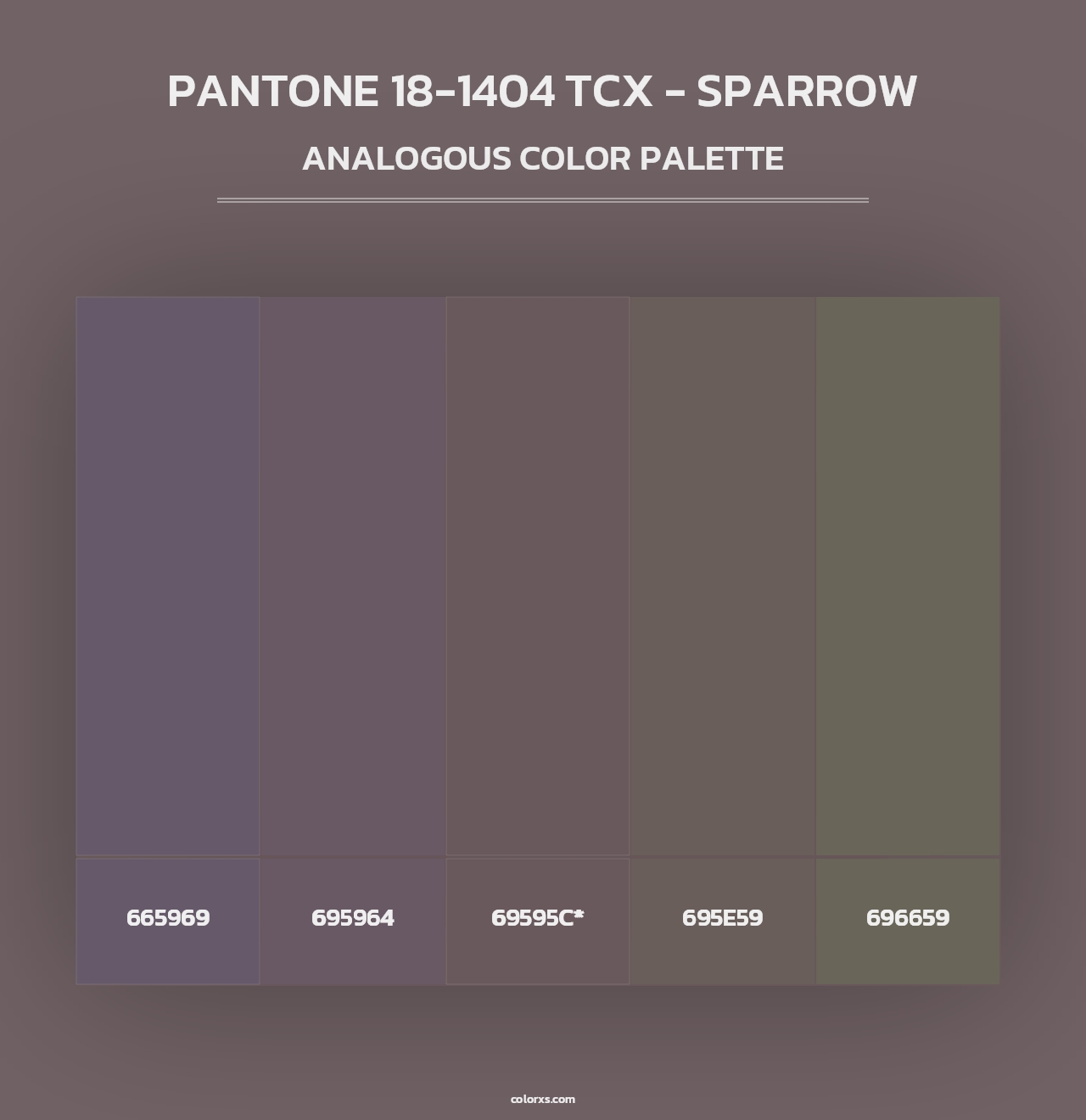 PANTONE 18-1404 TCX - Sparrow - Analogous Color Palette