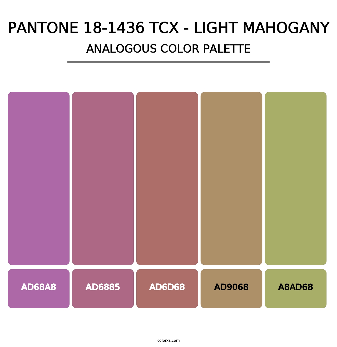 PANTONE 18-1436 TCX - Light Mahogany - Analogous Color Palette