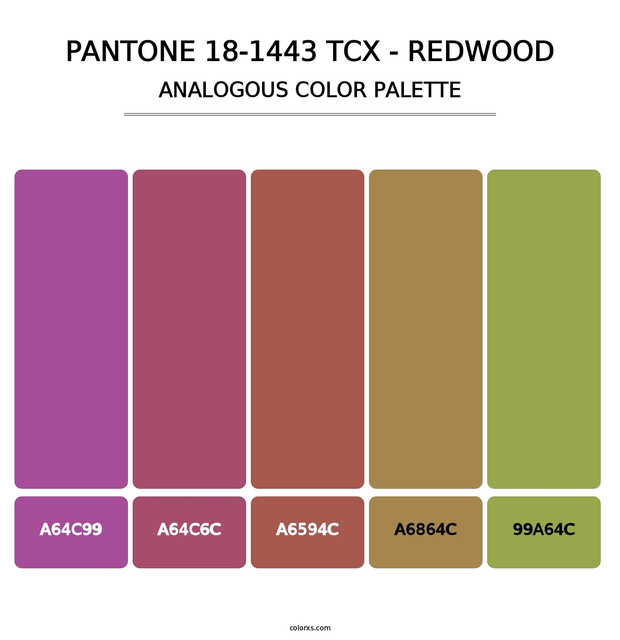 PANTONE 18-1443 TCX - Redwood - Analogous Color Palette