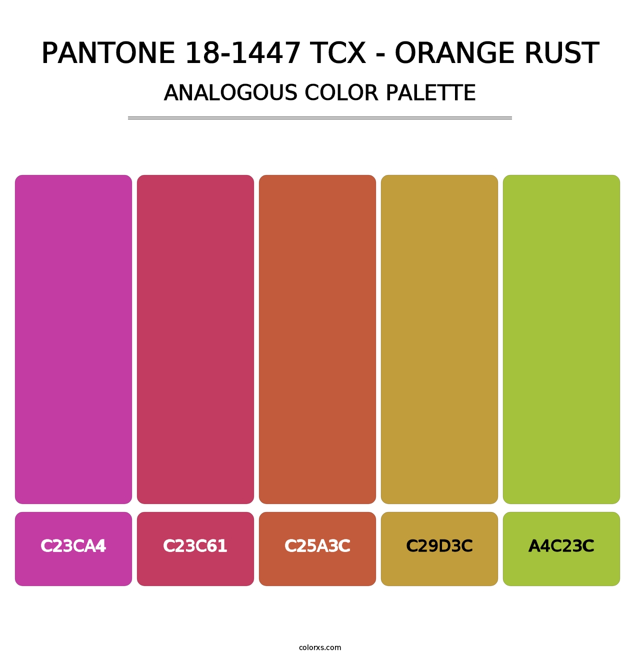 PANTONE 18-1447 TCX - Orange Rust - Analogous Color Palette