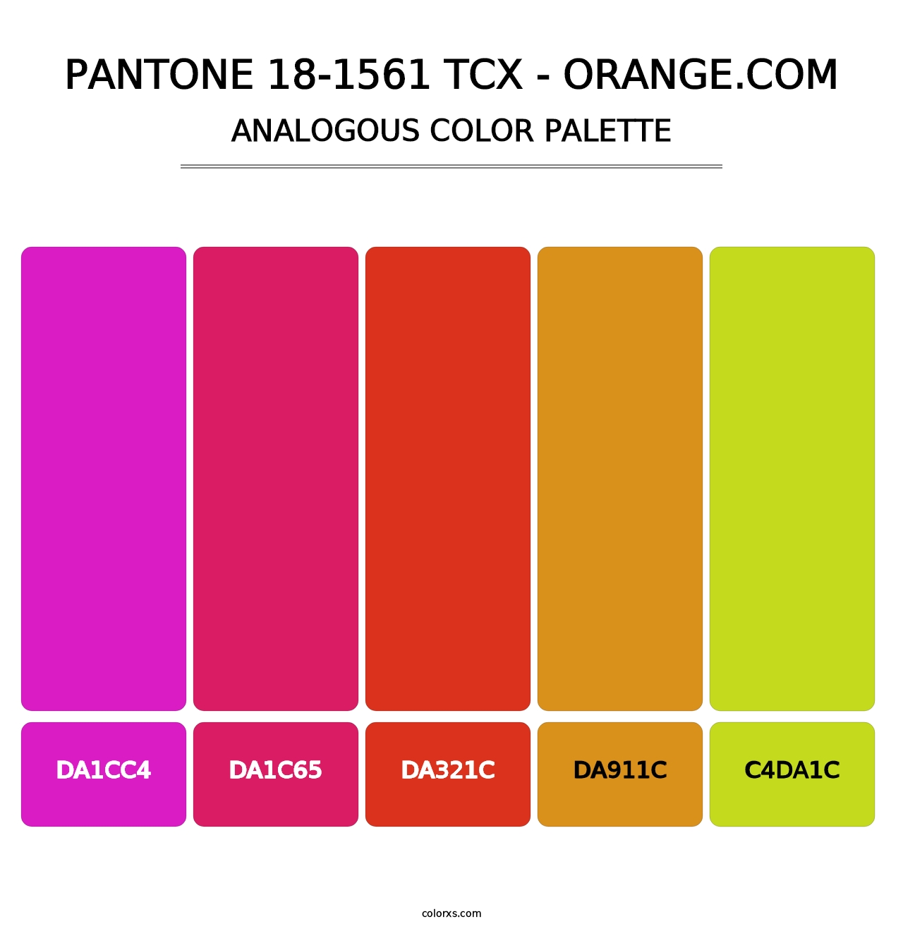 PANTONE 18-1561 TCX - Orange.com - Analogous Color Palette