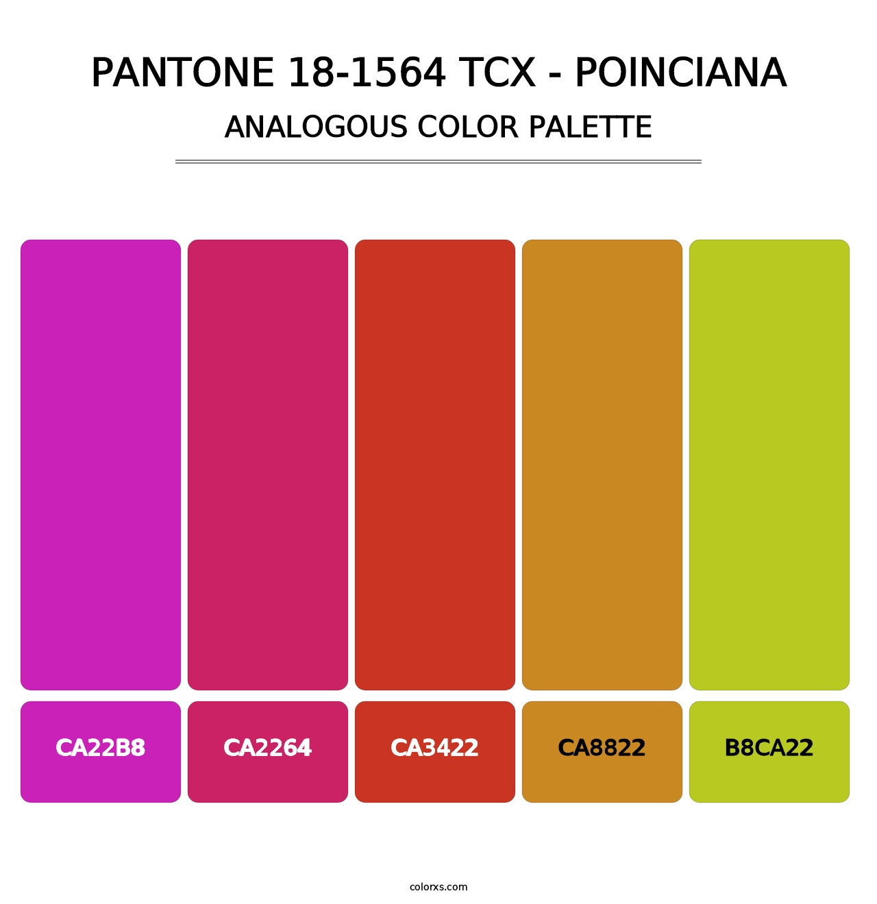 PANTONE 18-1564 TCX - Poinciana - Analogous Color Palette
