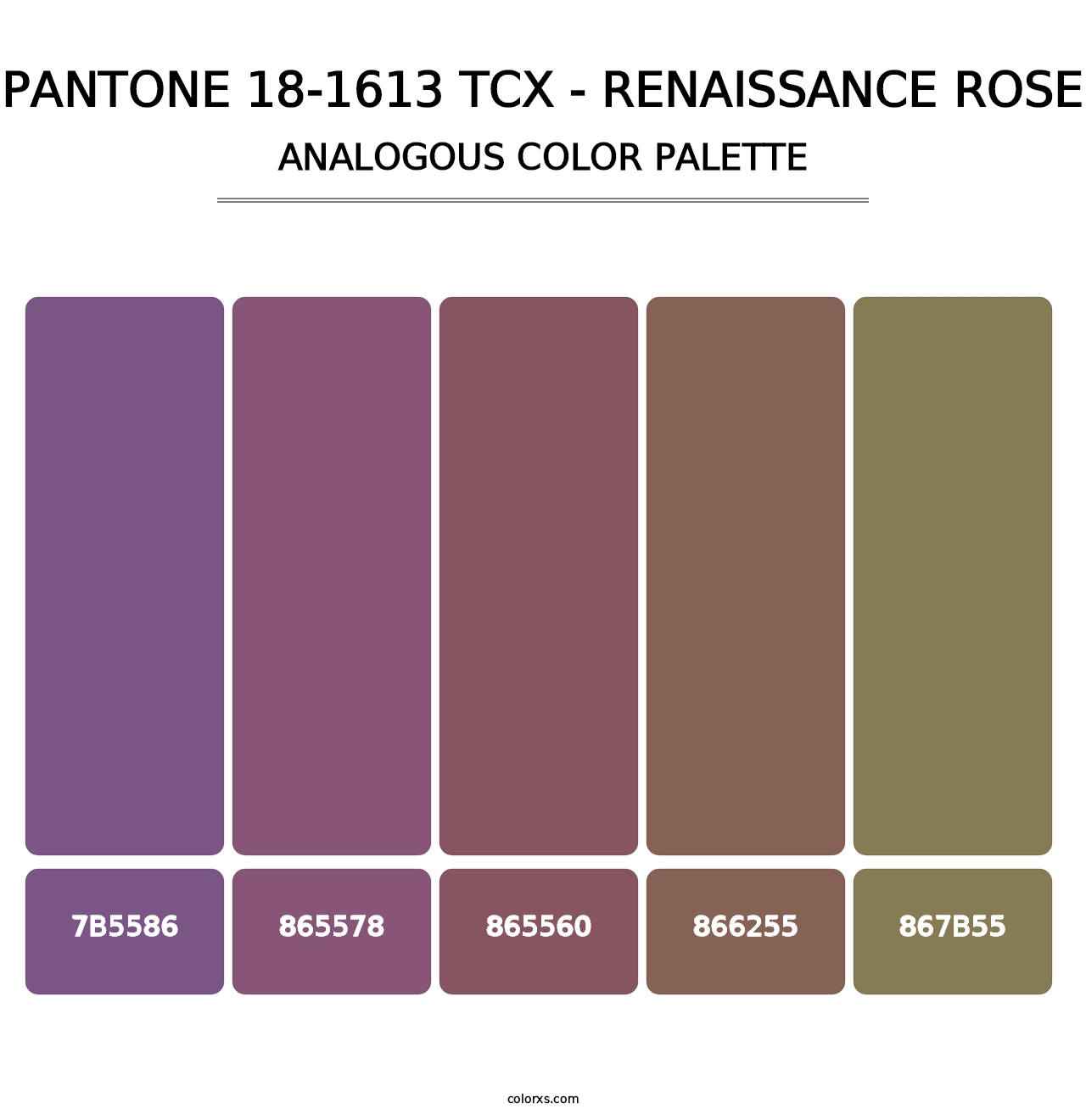 PANTONE 18-1613 TCX - Renaissance Rose - Analogous Color Palette