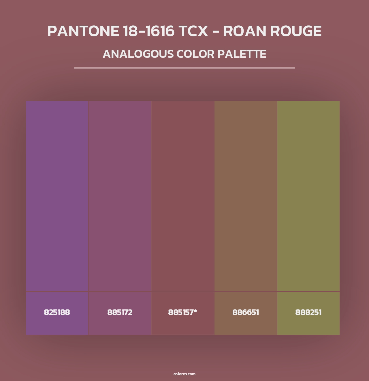 PANTONE 18-1616 TCX - Roan Rouge - Analogous Color Palette