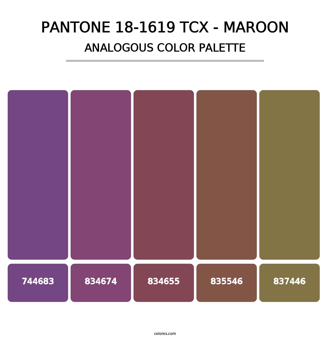 PANTONE 18-1619 TCX - Maroon - Analogous Color Palette