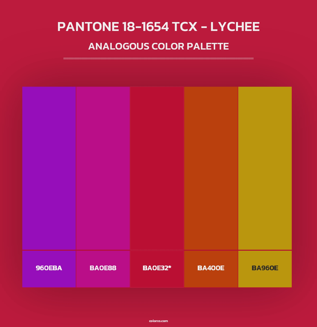 PANTONE 18-1654 TCX - Lychee - Analogous Color Palette